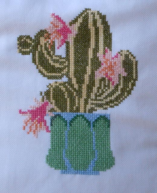 web3b-flor de cactus